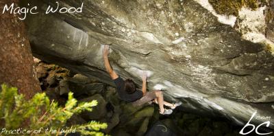 David working on "Practice of the Wild"